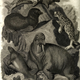 Illustration for article titled How Europeans Imagined Exotic Animals Centuries Ago, Based on Hearsay